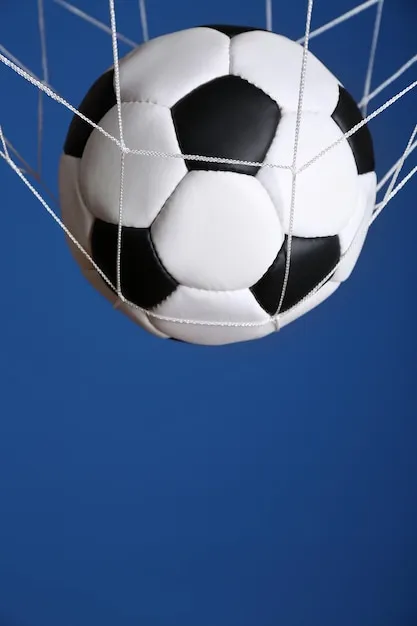 178体育 App 界面